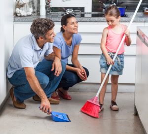 remove excessive dust and reduce common problems with home maintenance