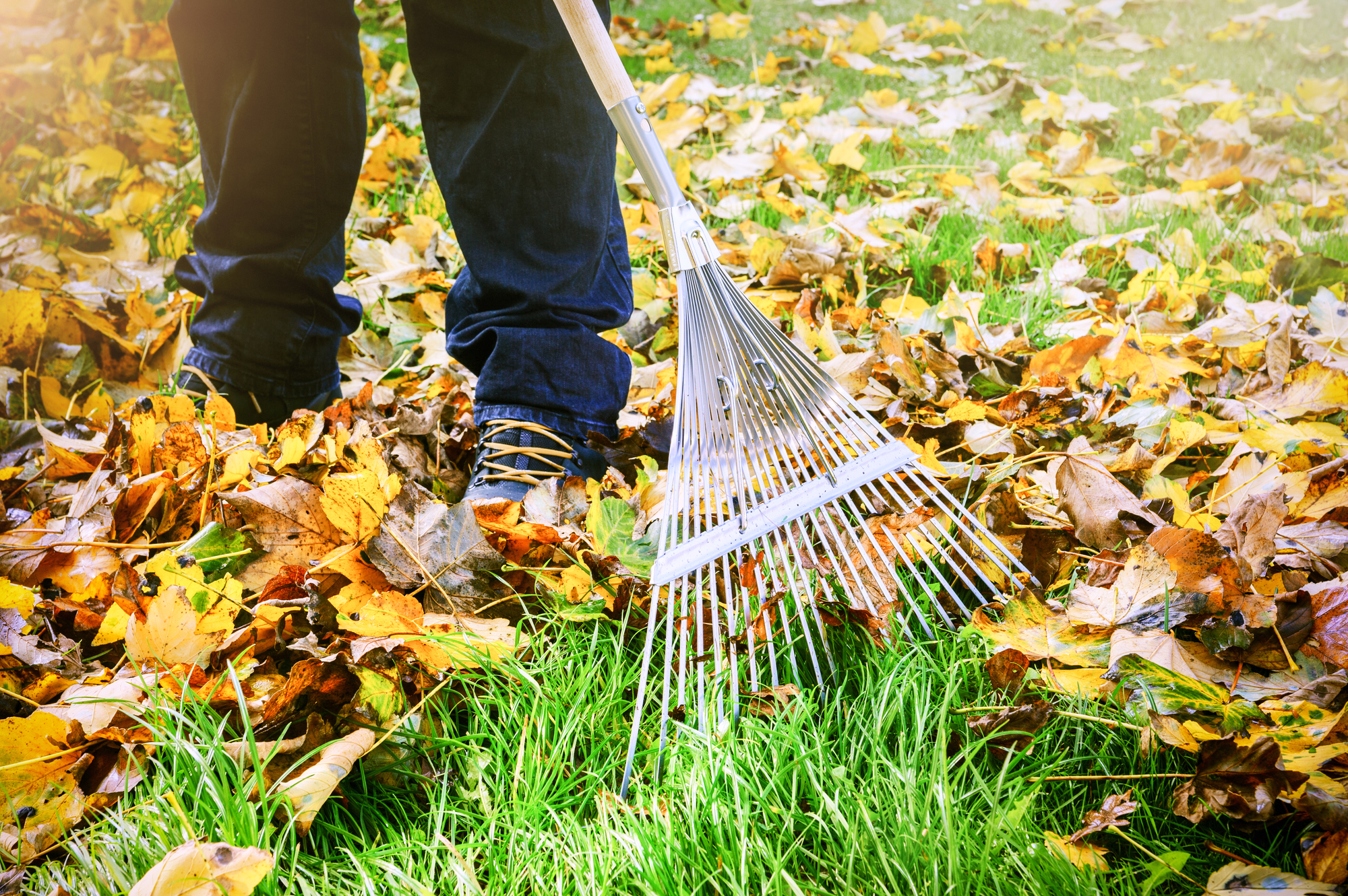 time tested tips for fall home maintenance