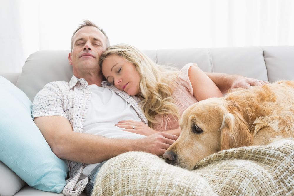check the heating duct and hvac ductwork to improve home comfort